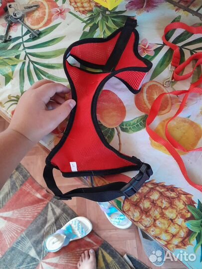 Шлейка для собак и кошек