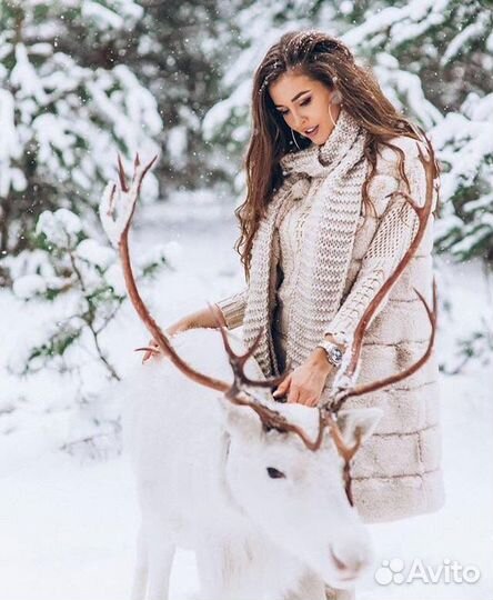 Катание на оленях