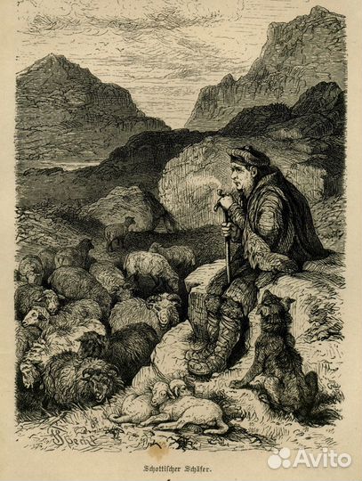 Старинная гравюра 1878 г. Шотландия собака антик