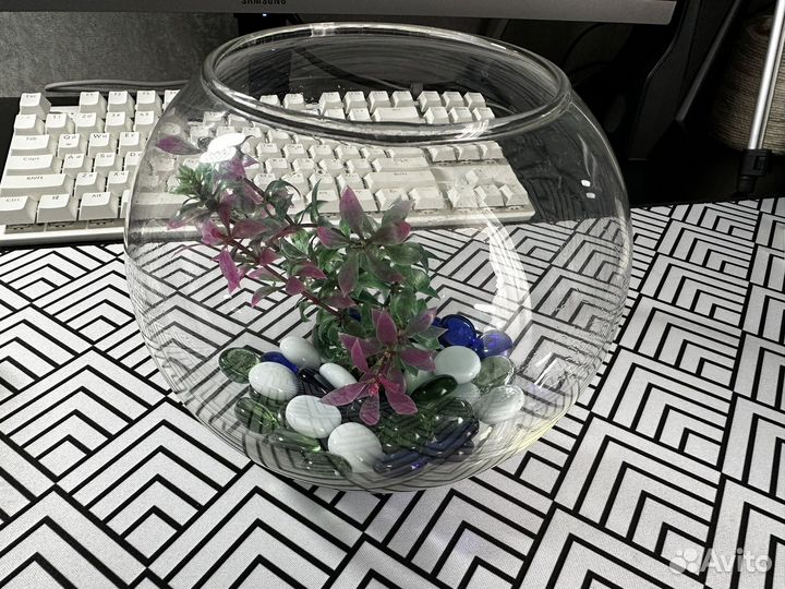 Аквариум для рыбок круглый 2 литра