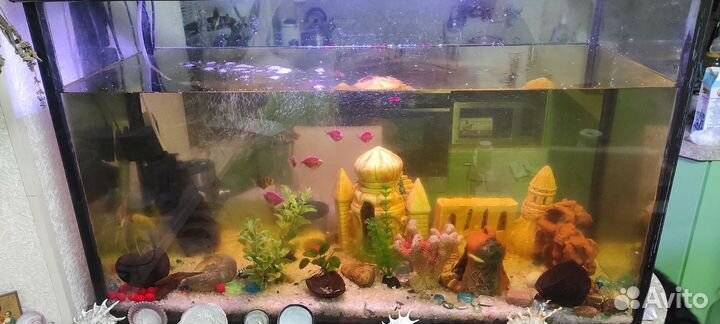 Аквариум