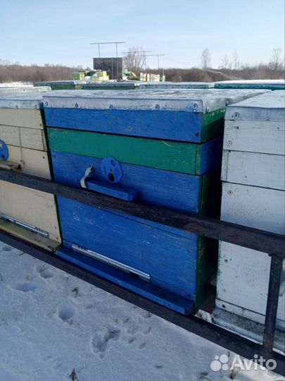 Ульи для пчел бу дадан