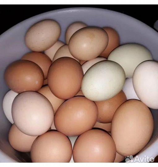Домашние куриные яйца
