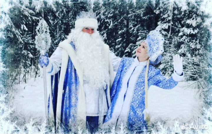 Дед Мороз на Дом