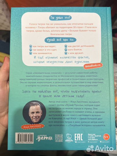 Илья Лагутенко я тигр