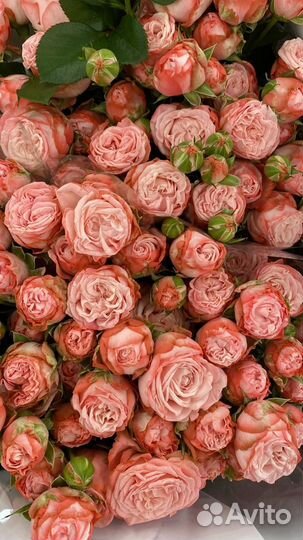 Цветы Оптом