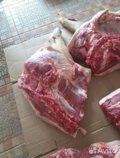 Свинина четверть