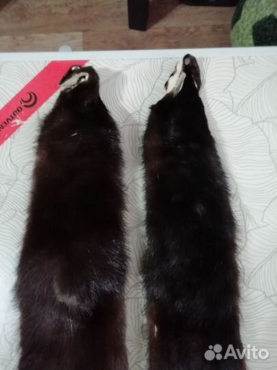Шкурки норки