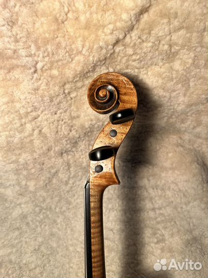 Скрипка 19 в