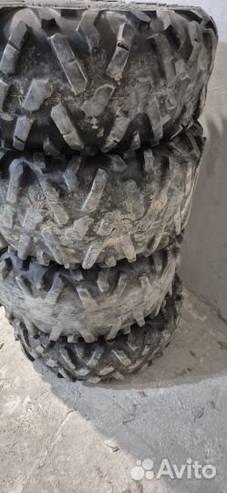 Bighorn 2.0 27/9/11/12