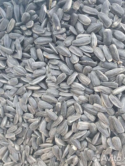 Семечки подсолнуха спк (птичка)