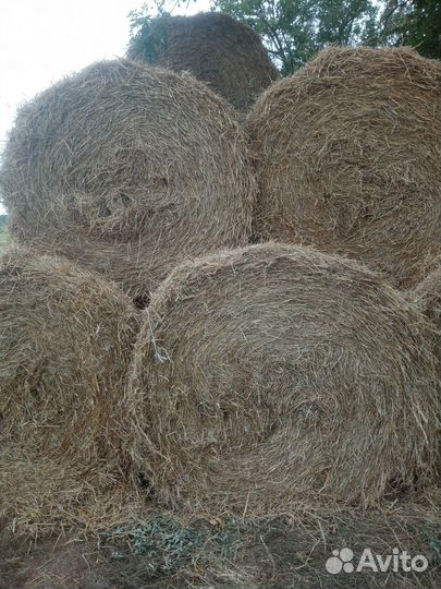Солома в тюках
