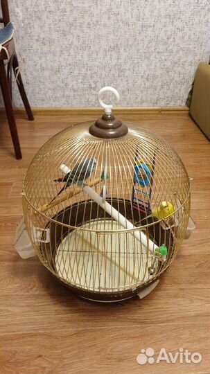 Клетка для попугая бу