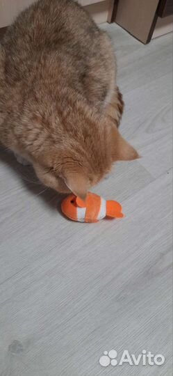 Игрушка для кошек