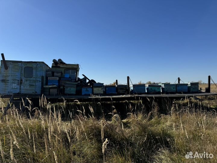 Продается пасека