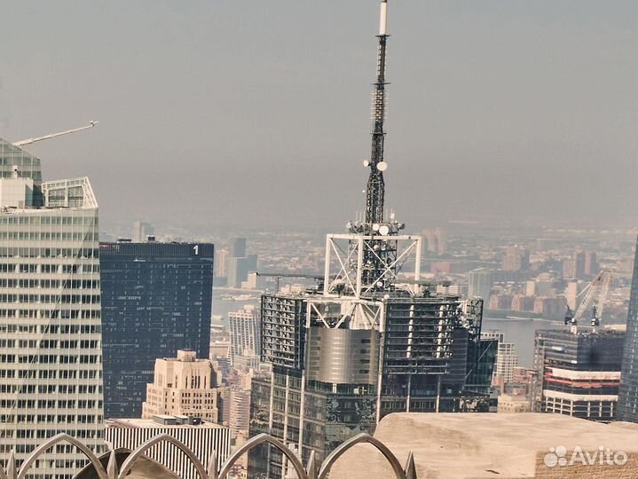 Фото-постер The Dogs Of New York City