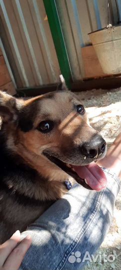 Рамос красавчик с характером