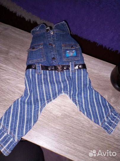 Собачий джинсовый комбинезон