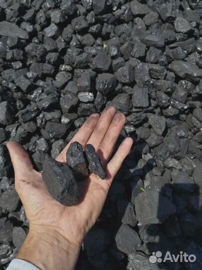 Уголь дпк