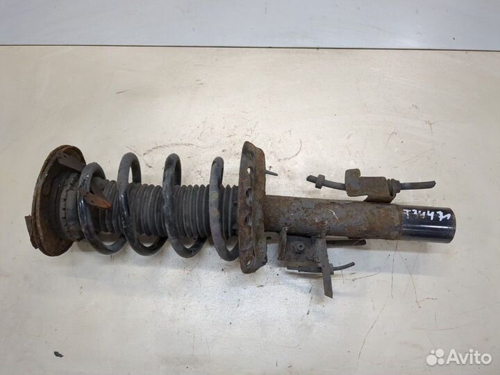 Амортизатор подвески Ford Galaxy, 2010