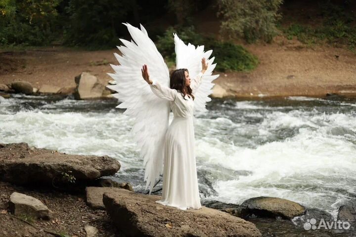 Крылья ангела в аренду
