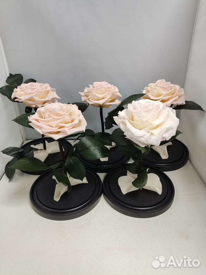 Роза в колбе оптом