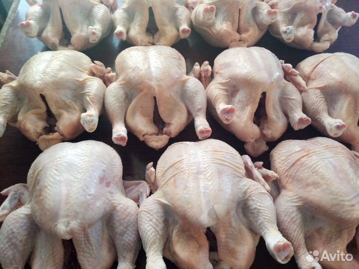 Мясо домашнего бройлера