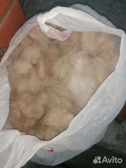 Собачий пух и шерсть