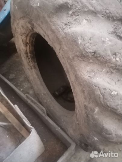 Шина колесо покрышка