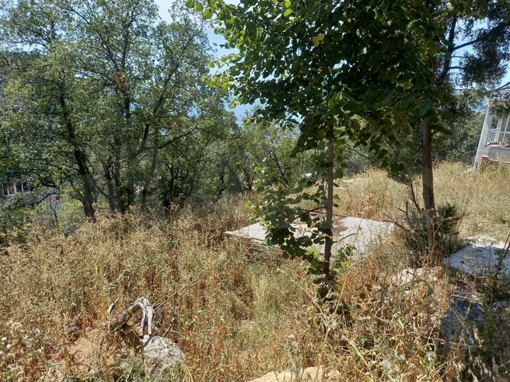 Участок 5 сот. (ИЖС)