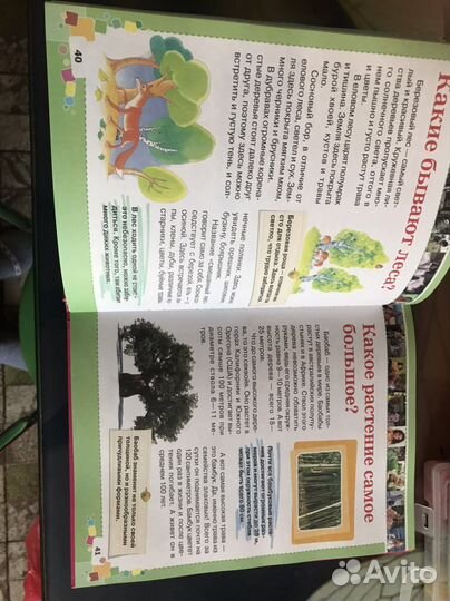 Энциклопедия для девочек