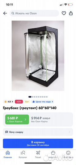 Гроутент