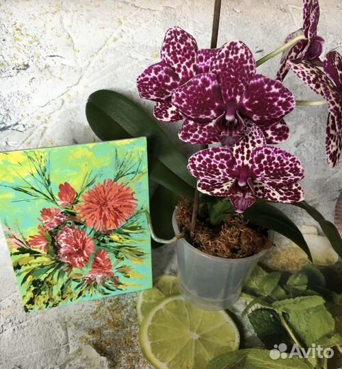 Картина маслом, Цветочная миниатюра