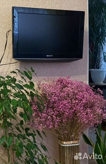 Телевизор sharp
