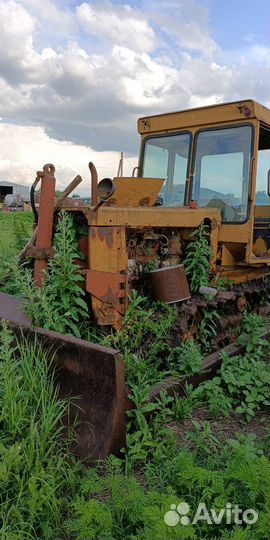 Трактор ЮМЗ 6, 1981