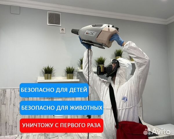 Уничтожение клопов, тараканов. Дезинфекция