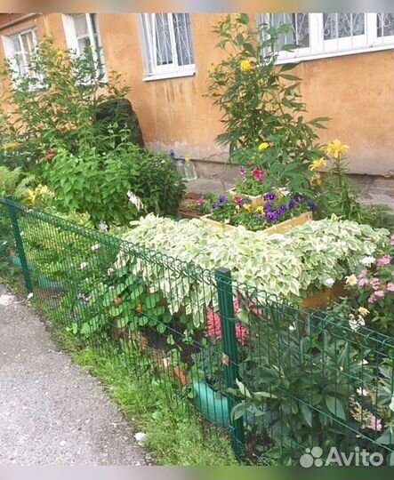 Забор из 3д сетки