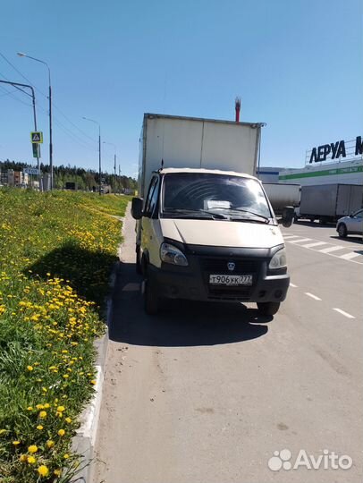 Модель газель