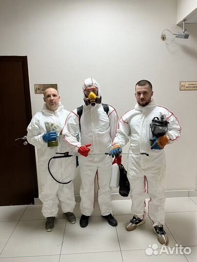 Уничтожение насекомых грызунов и запаха 24 7