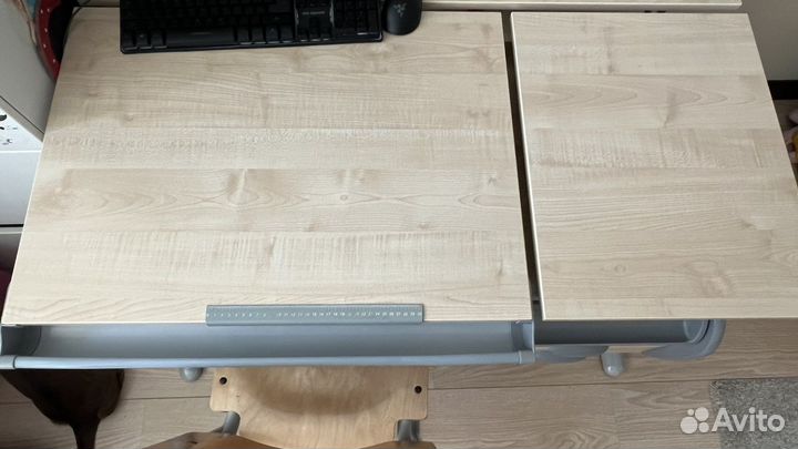 Растущая парта и стул деми