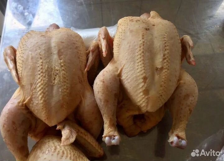 Тушки броллеров