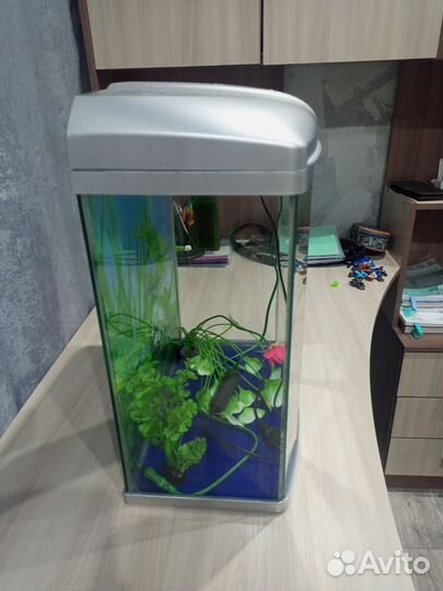 Аквариум