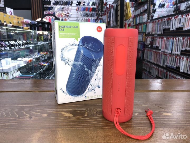 Колонка Hopestar P4