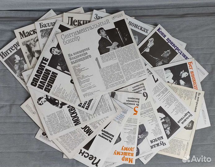 Винил. На концертах Высоцкого