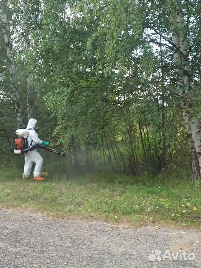 Обработка территорий от клещей