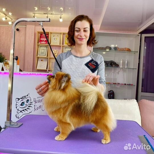 Стрижка собак, груминг, тримминг, экспресс-линька