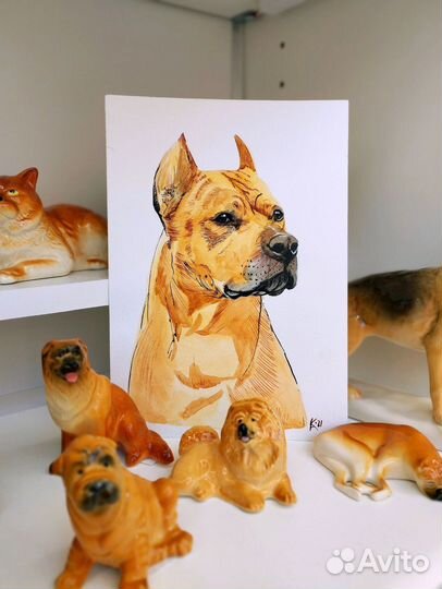 Портреты собак