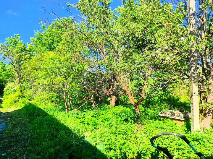 Участок 16,5 сот. (ИЖС)