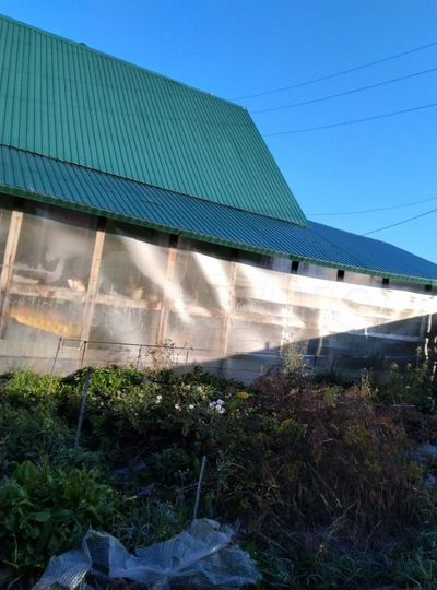 Дом 46,1 м² на участке 5,4 га