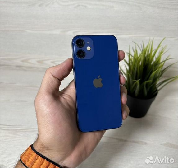 iPhone 12 mini, 256 ГБ